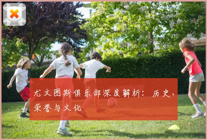 尤文图斯俱乐部深度解析:历史、荣誉与文化