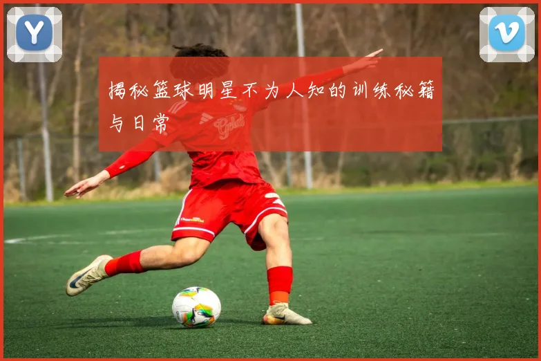 揭秘篮球明星不为人知的训练秘籍与日常